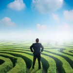 Navigating The Tax Policy Maze