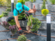 Are you a landscaping business owner looking for ways to enhance operational efficiency? Here are helpful tips for landscapers looking to improve efficiency.