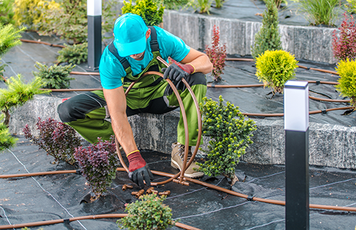 Are you a landscaping business owner looking for ways to enhance operational efficiency? Here are helpful tips for landscapers looking to improve efficiency. Are you a landscaping business owner looking for ways to enhance operational efficiency? Here are helpful tips for landscapers looking to improve efficiency.
